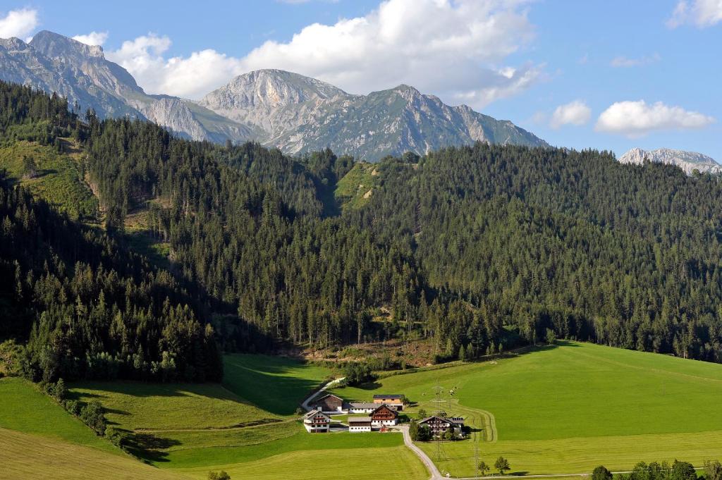 Kerschbaumerhof - 17