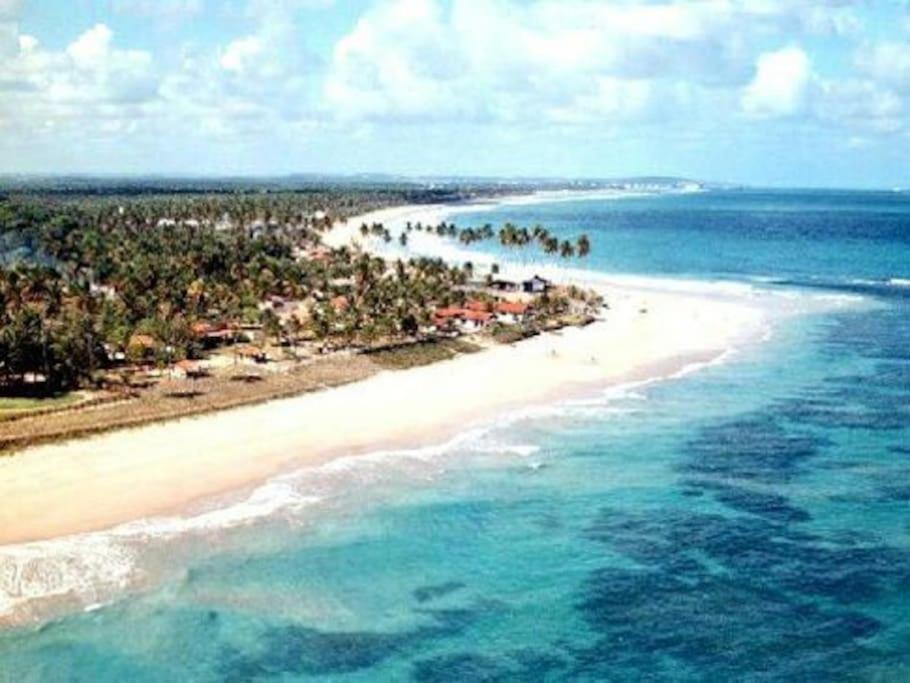  Pedaço de Bom