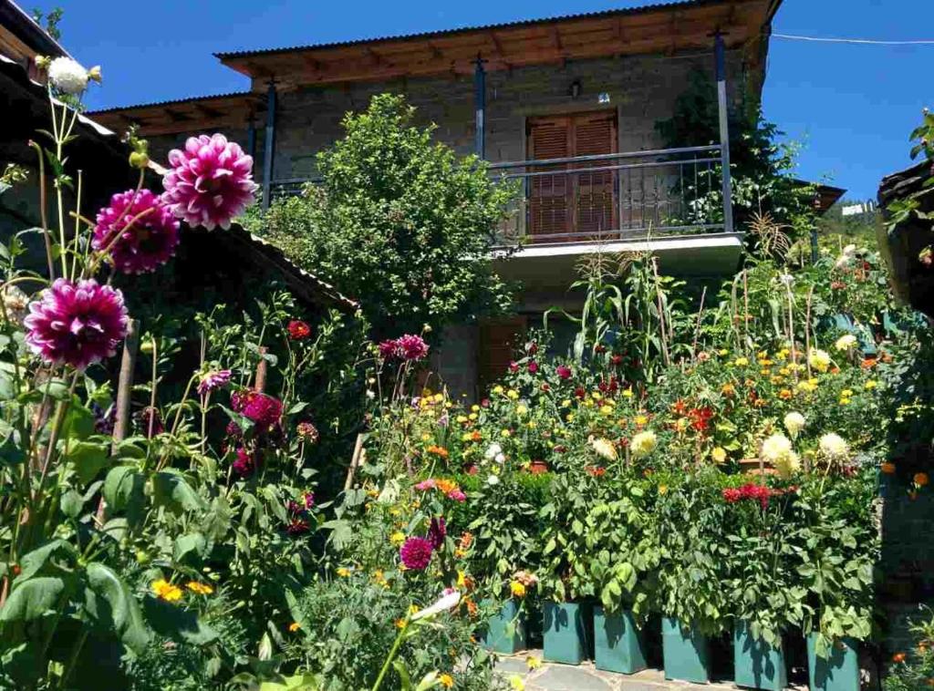 un jardín con flores frente a una casa en Guesthouse Gouris, en Tsepelovo