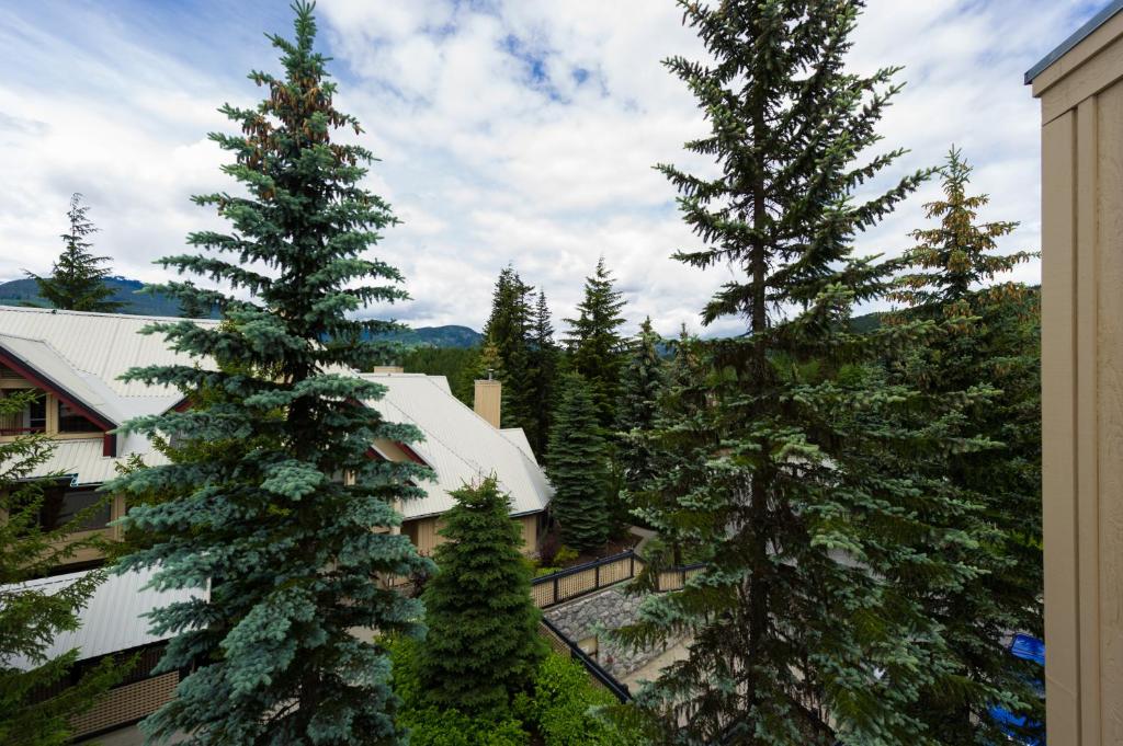 a group of trees in front of a building at Snowberry Villas in Whistler