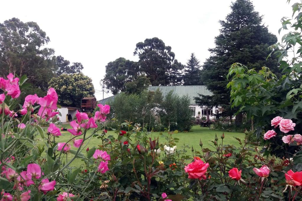 a garden with pink flowers in front of a house at Green Lantern Inn in Van Reenen