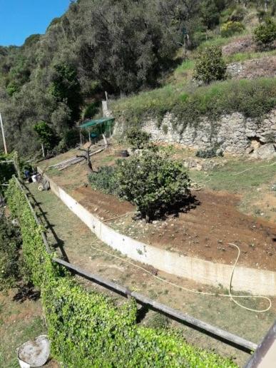 a view of a garden with a hill with trees at Trekking in paradise B&B in Santa Margherita Ligure