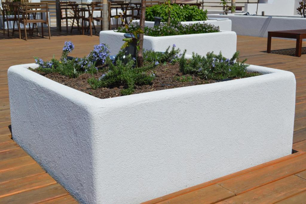 Kép Sempreverde Atelier B&B szállásáról Punta Seccában a galériában