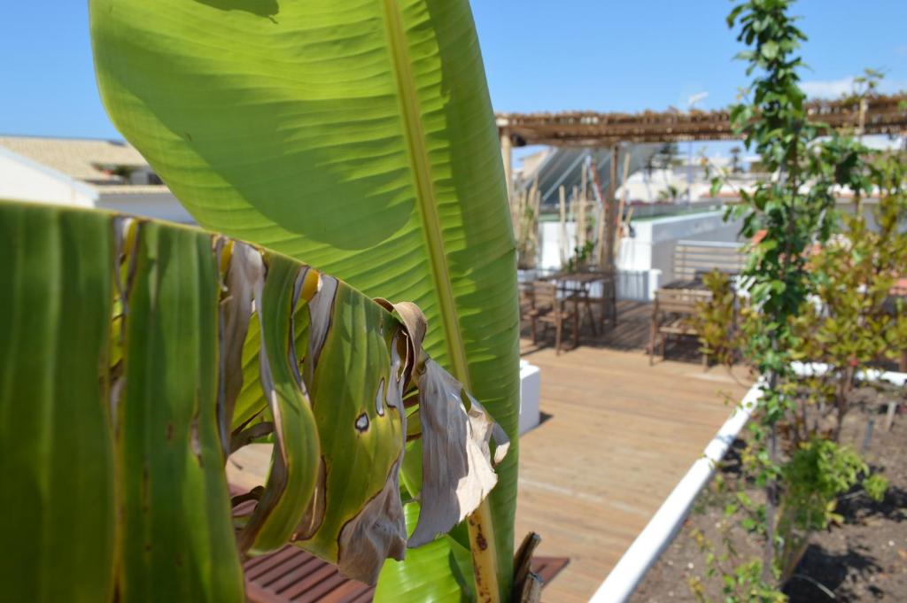A garden outside Sempreverde Atelier B&B