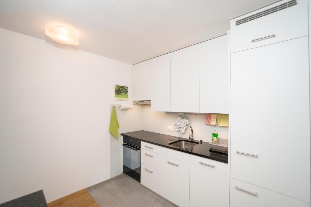 Kuchyň nebo kuchyňský kout v ubytování Apartment Kesch Chesa Quadrella