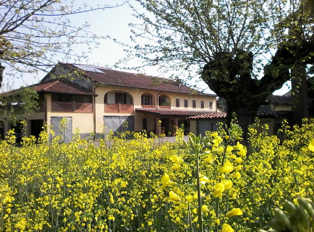 a house in the middle of a field of yellow flowers at La Cortevecchia in Lobbi