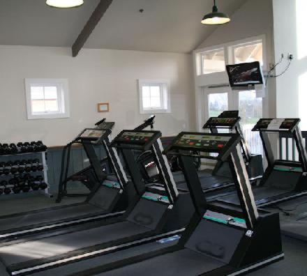Fitness centrum a/nebo fitness zařízení v ubytování Homestead Resort