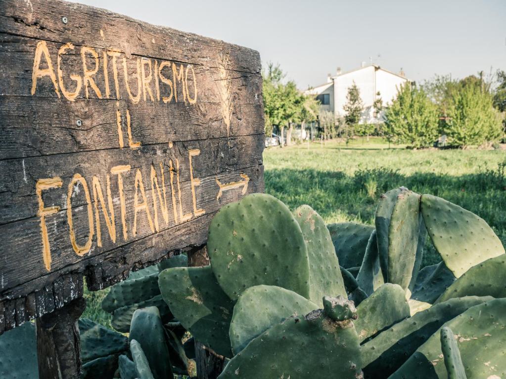 a sign that reads antwerp to parlez cactus at Il Fontanile in Marina di Grosseto