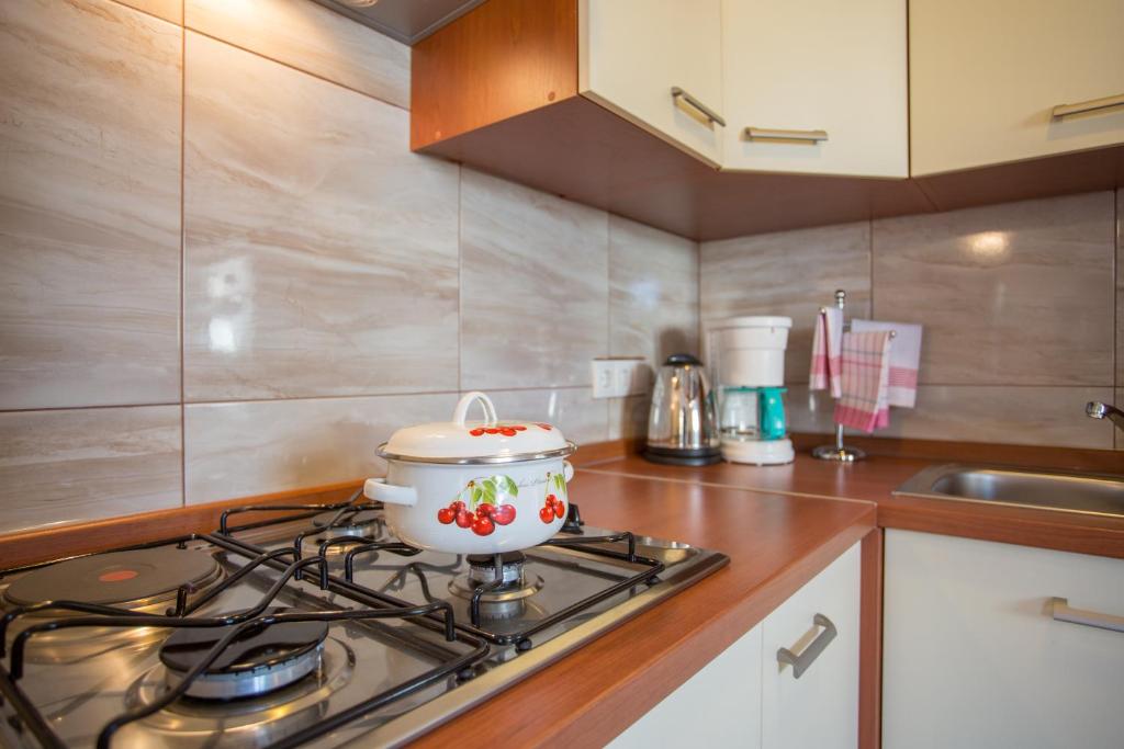 Kuchnia lub aneks kuchenny w obiekcie Apartman Deja