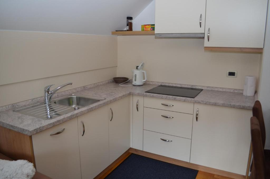 Kuchyň nebo kuchyňský kout v ubytování Apartment Brumec