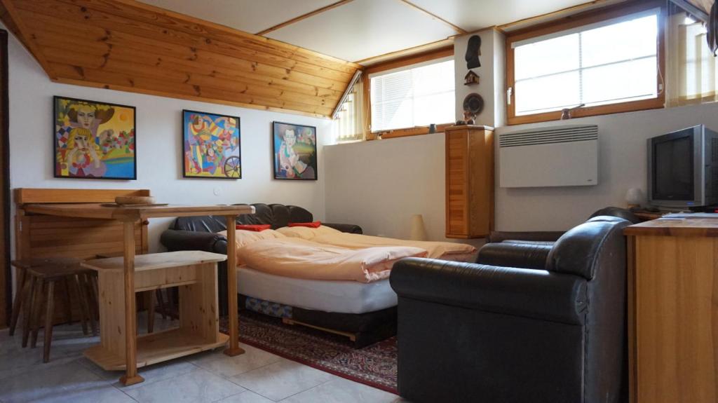 uma sala de estar com uma cama e uma televisão em Pension Karolína em Trnava