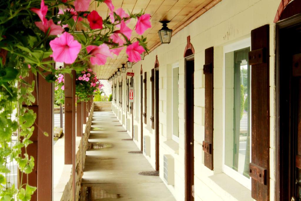Zahrada ubytování Auld Holland Inn