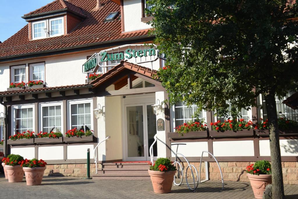 a building with flowers in pots in front of it at Parkhotel zum Stern in Oberaula