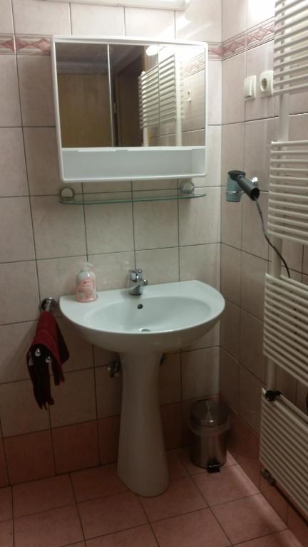 Koupelna v ubytování APARTMAJI STARI KOVAČ