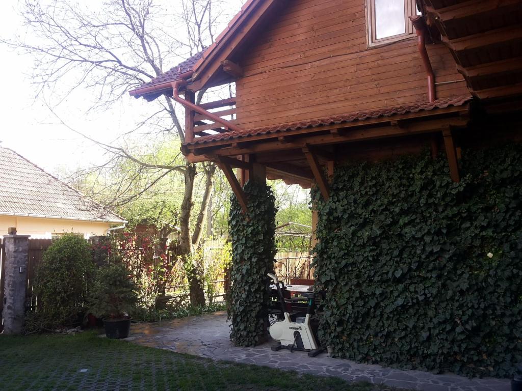 Zahrada ubytování Pasager House