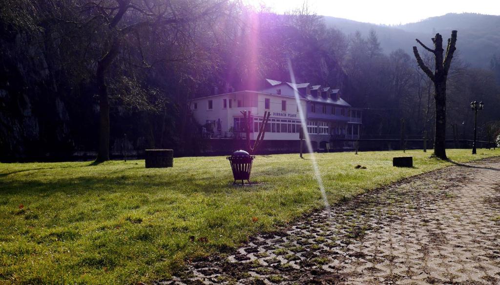 a fire hydrant in the grass in front of a house at Hotel Dirbach Plage in Dirbach