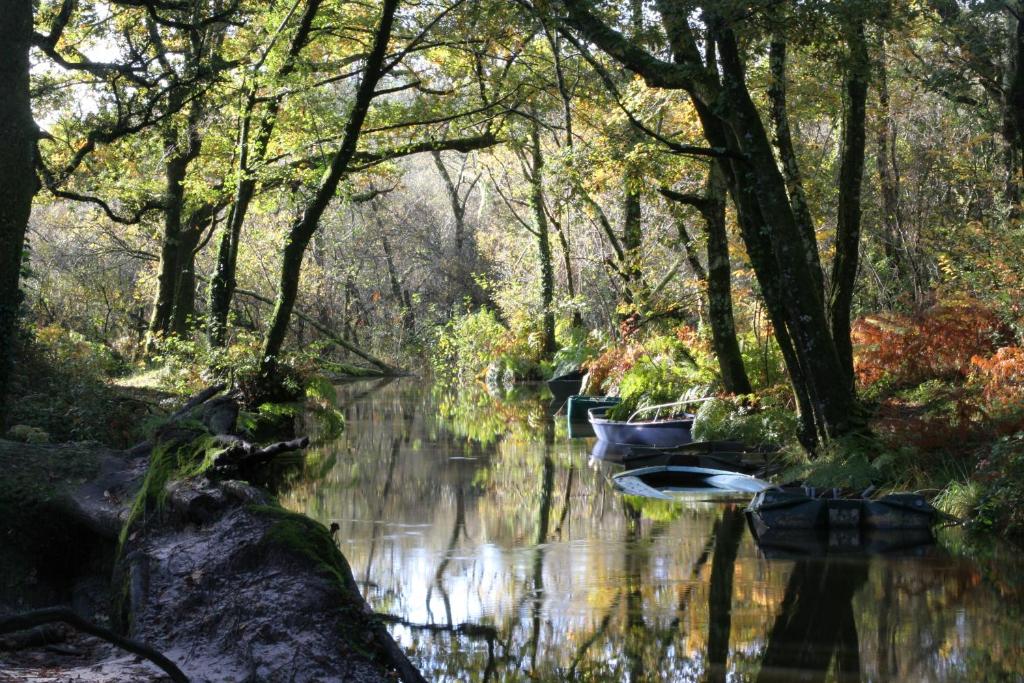 une rivière dans une forêt avec des bateaux dans l'eau dans l'établissement Villa de l'Etang Blanc, à Seignosse