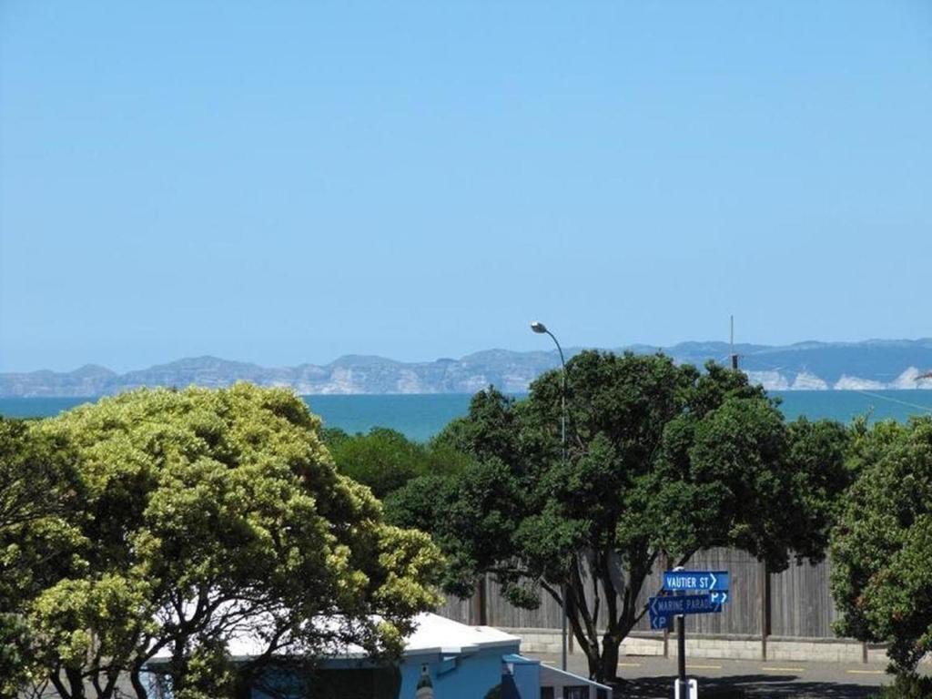 Napier Art House Backpackers - Resim 28