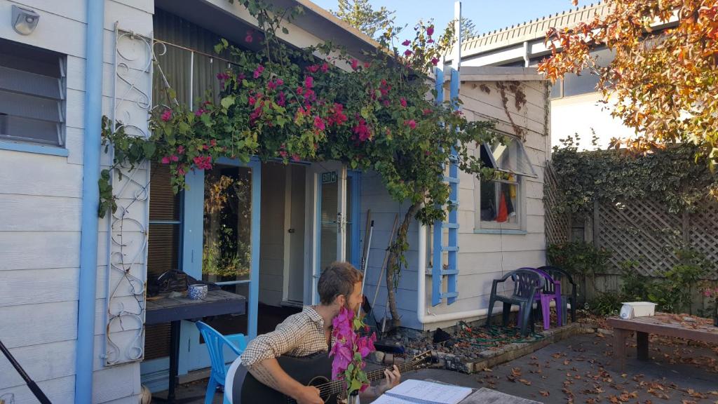 Napier Art House Backpackers - Resim 6