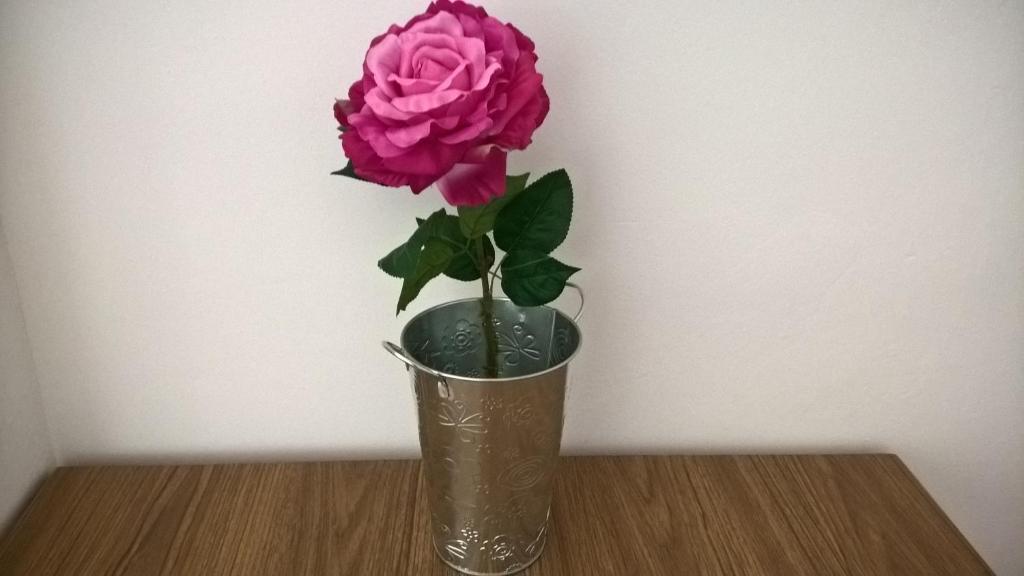 a pink rose in a vase on a table at Apartment El Solcito in Alicante