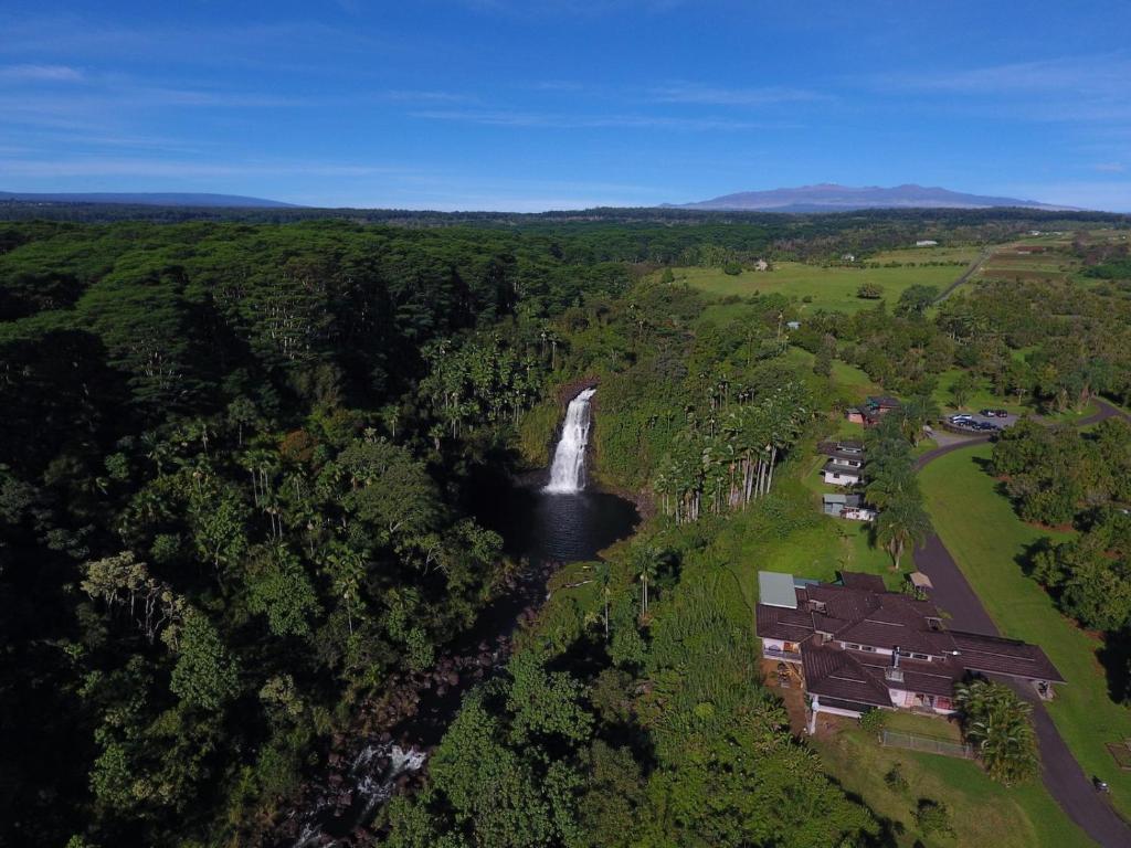 an aerial view of a waterfall in a forest at The Inn at Kulaniapia Falls in Hilo