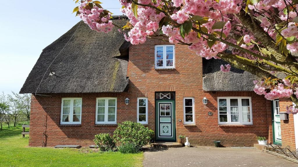 une ancienne maison en briques avec un toit de chaume et des fleurs roses dans l'établissement Ferienwohnung Goting Nr.3, à Goting