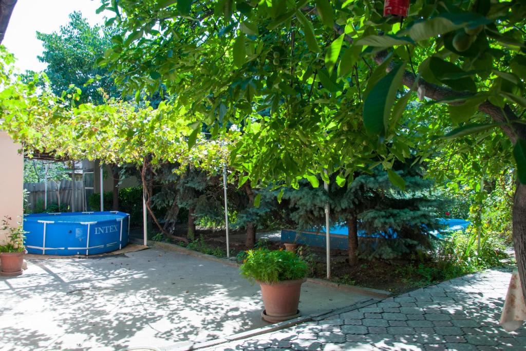 a garden with two trees and a swing at Sakura Guesthouse in Bishkek