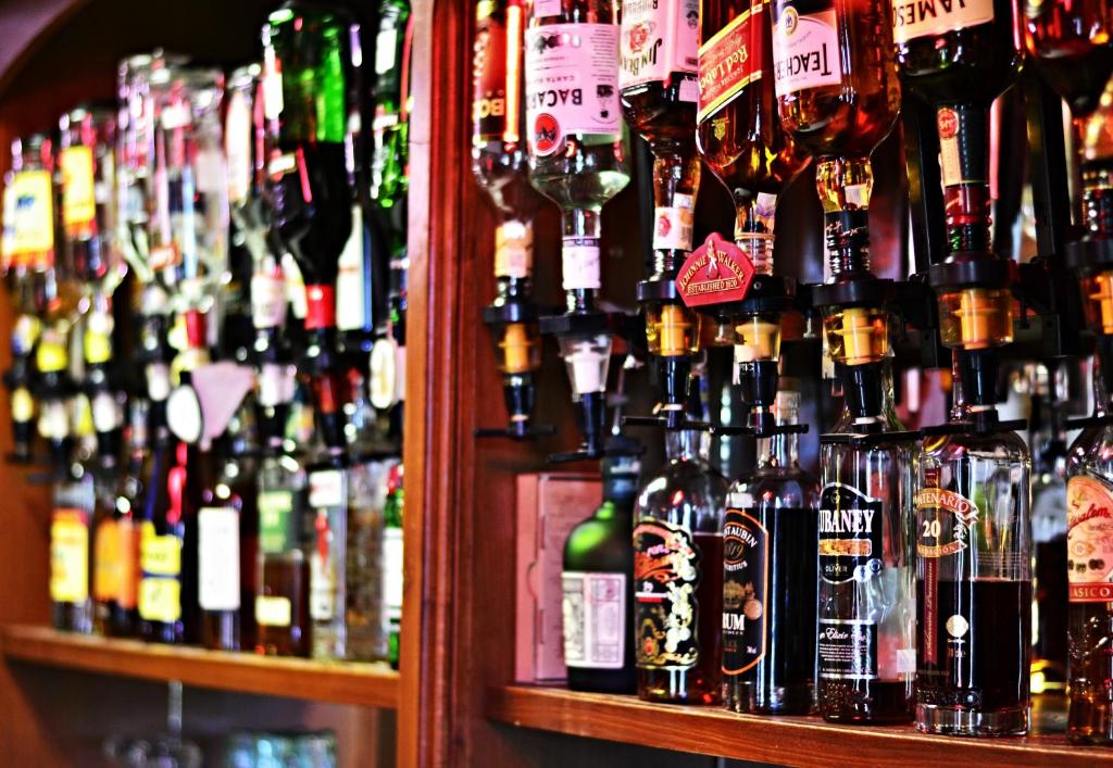 Bebidas en Hotel Drnholec