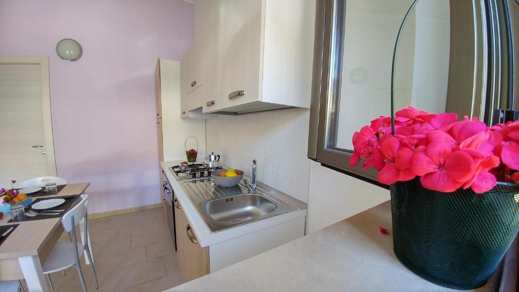 Residence BiDreams