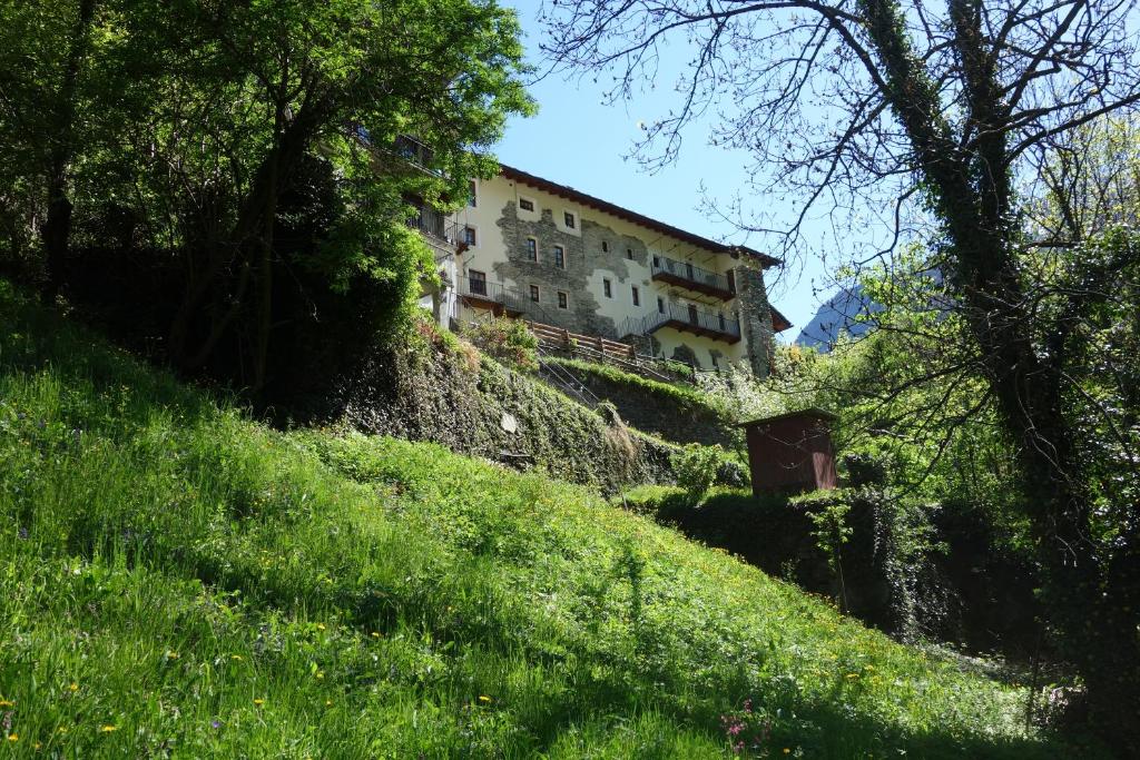 Pontboset的住宿－Auberge Lou Créton di Lui Hostel，草山边的建筑物