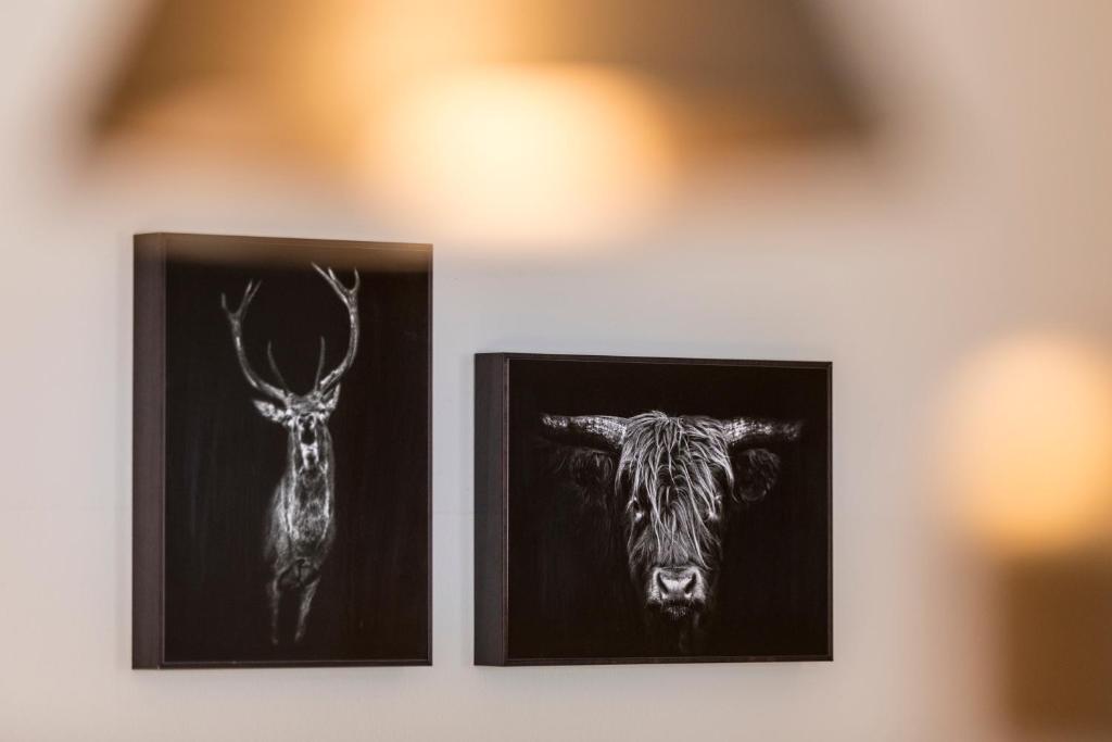 RAFAEL KAISER - Premium Apartments City Centre - Contactless Check-In - 17