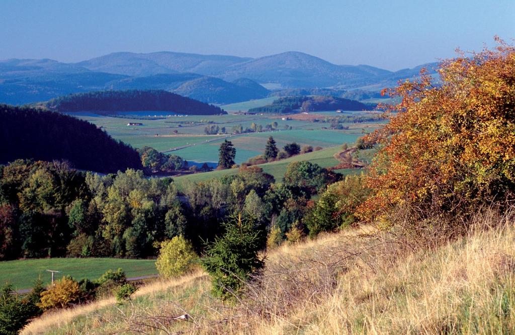 a view of a valley with trees and mountains at Café- Pension Fernblick, incl MeineCardPlus in Willingen