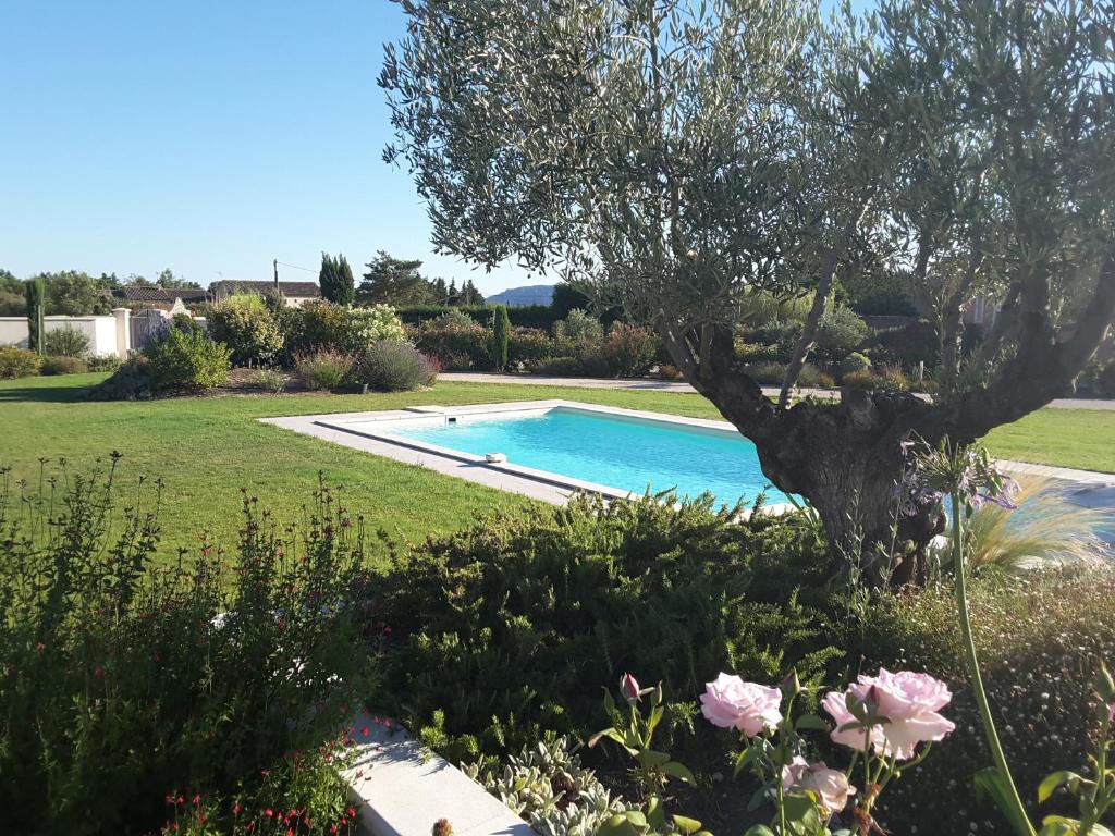 a swimming pool in a yard with a tree and flowers at Aubade en Luberon in Cavaillon