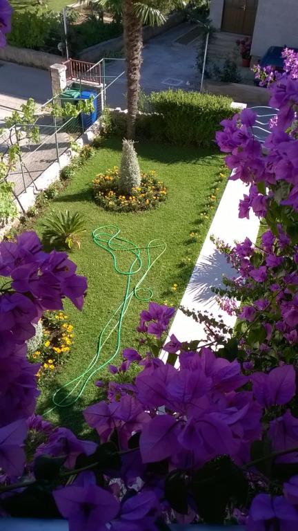 Zahrada ubytování House Marijana Sibenik
