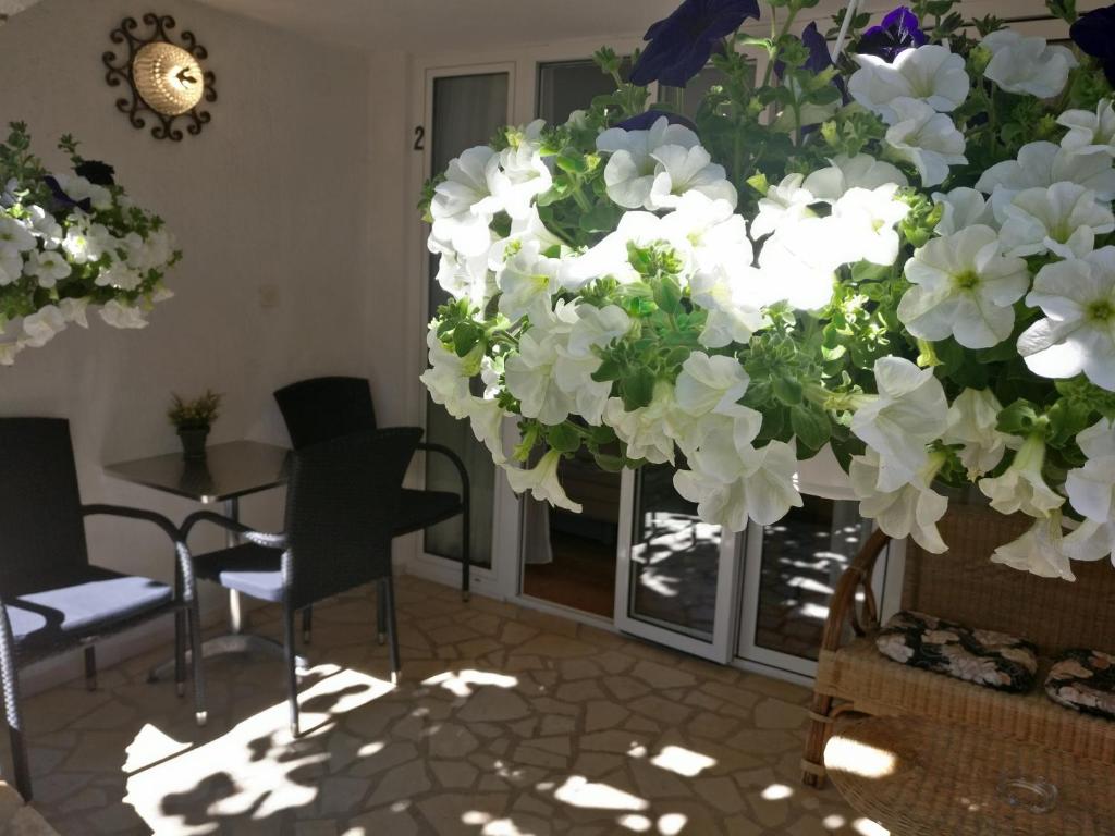 Fotografie z fotogalerie ubytování Apartments Ana - Rovinj v Rovinji