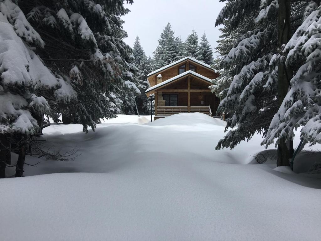 una cabaña de madera en la nieve con árboles nevados en Uludag Orman Koskleri, en Uludag