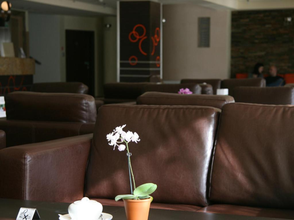 Cozy hotel lounge with brown leather sofas, small white orchid and teapot on table.