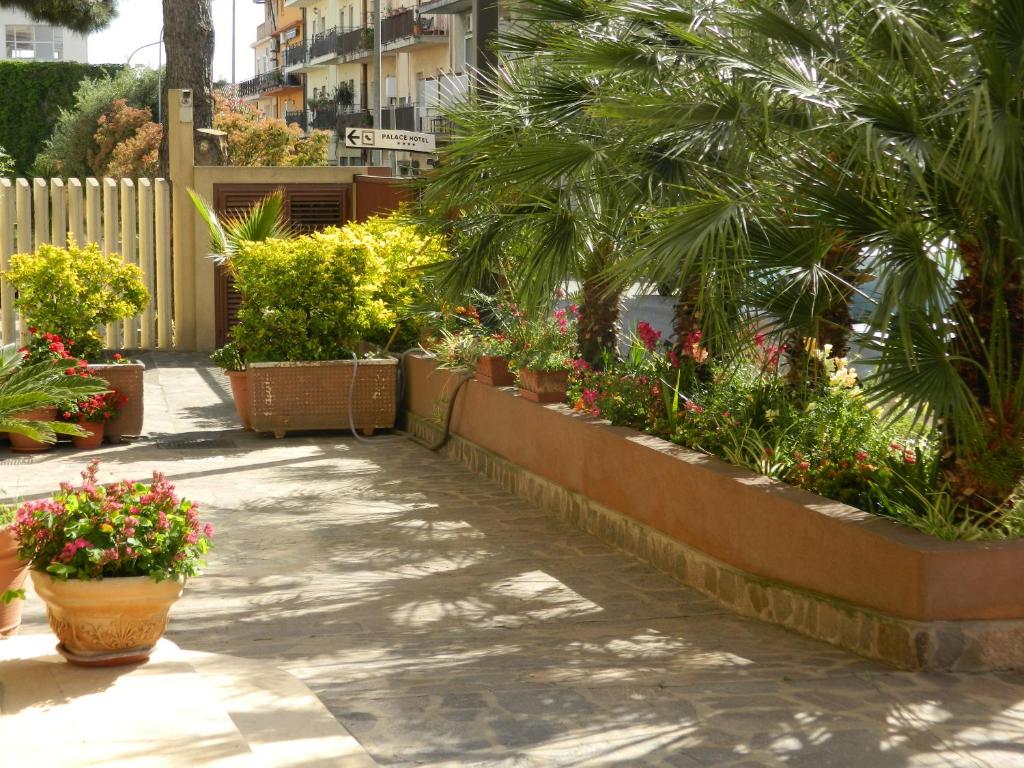 Zahrada ubytování Hotel Le Palme