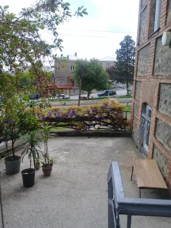Zahrada ubytování TLT Guest House