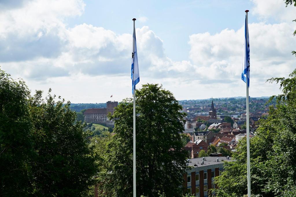 Nespecifikovaný výhled na destinaci Kolding nebo výhled na město při pohledu z hostelu