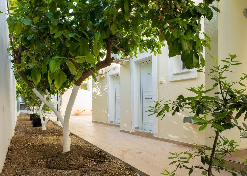 Zahrada ubytování Kostis Villas