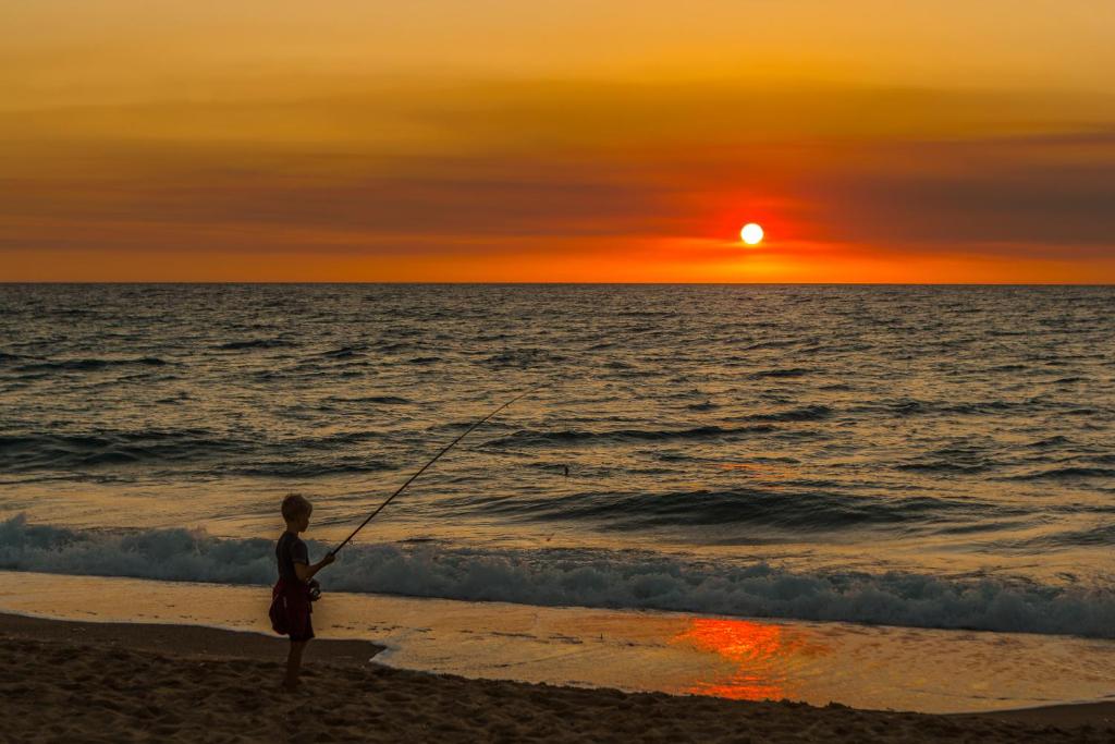 Phong cảnh thiên nhiên gần nhà nghỉ B&B