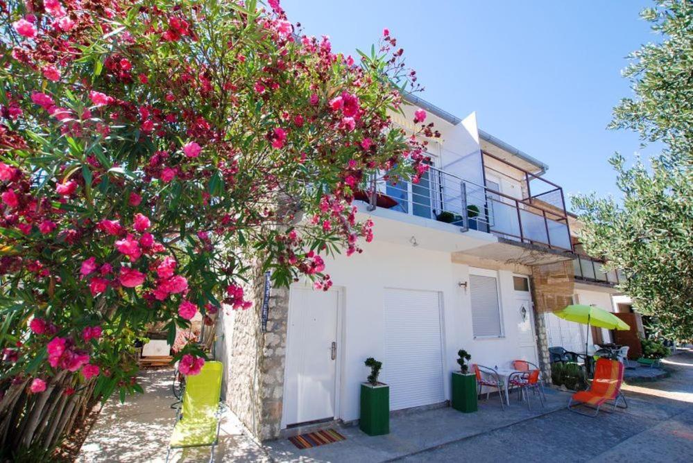 een huis met roze bloemen ervoor bij Studio Diana in Trogir