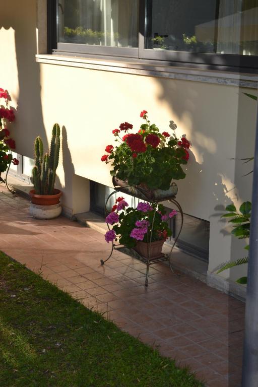 Zahrada ubytování Hotel Maita