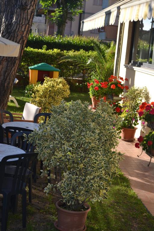 Zahrada ubytování Hotel Maita