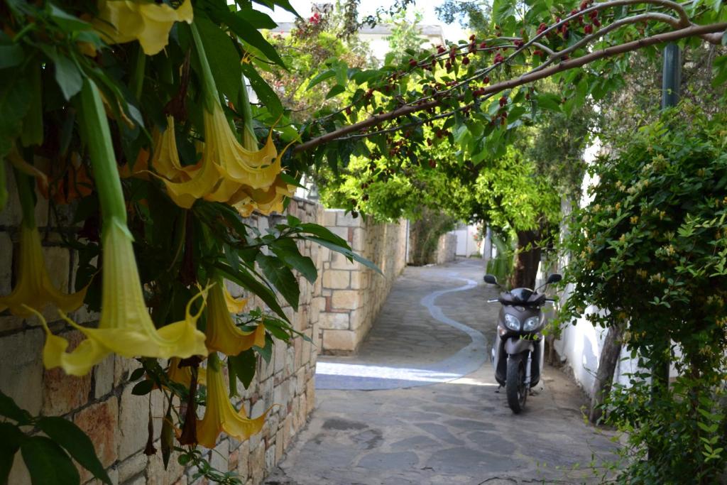 Fotografie z fotogalerie ubytování Su Hotel - Bodrum v Bodrumu