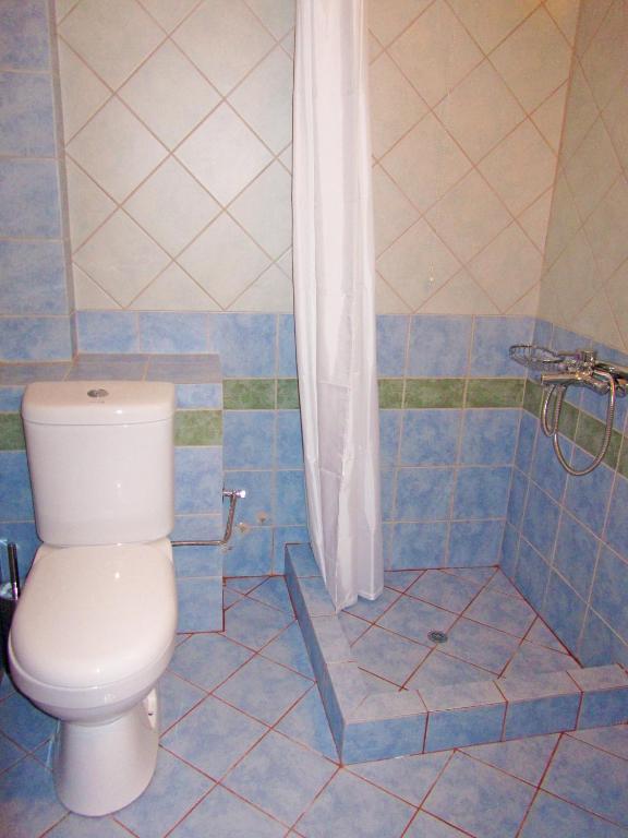 a bathroom with a toilet and a shower at St.George Valsamitis in Katapola