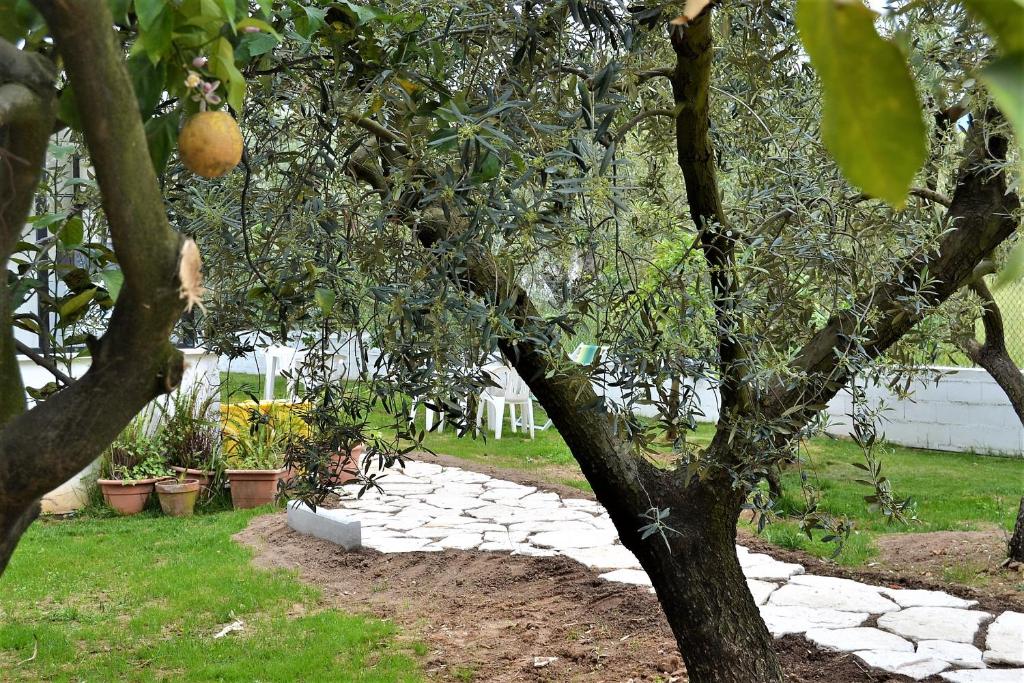 Zahrada ubytování Il Girasole Formia Guesthouse rooms