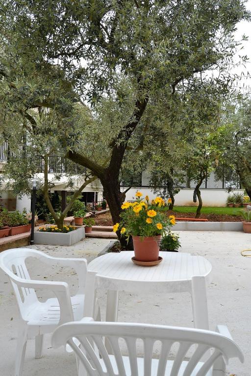 Zahrada ubytování Il Girasole Formia Guesthouse rooms