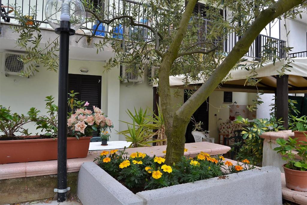 Zahrada ubytování Il Girasole Formia Guesthouse rooms
